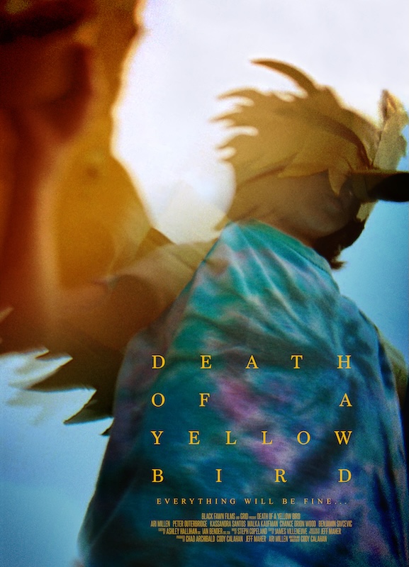 Death of a Yellow Bird Review