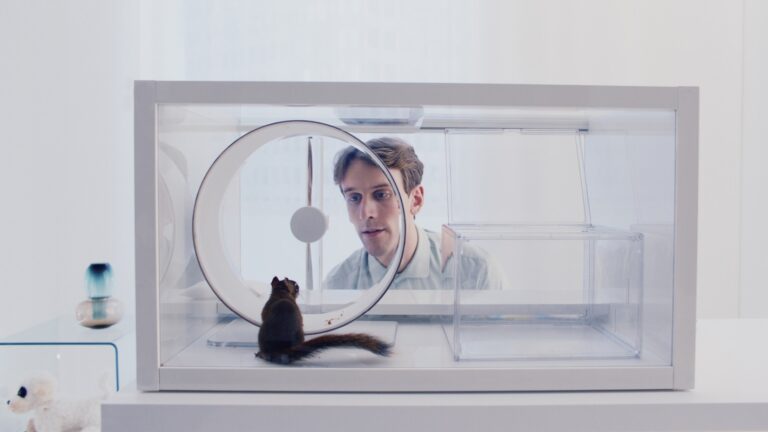 The Squirrel Fantastic Fest feature image